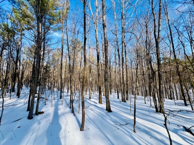Potential Homesites on Big Acreage in Holladay, Tennessee - image 17
