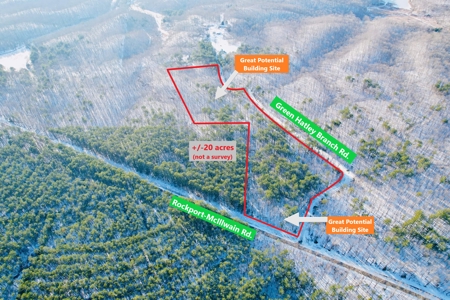 Potential Homesites on Big Acreage in Holladay, Tennessee - image 1