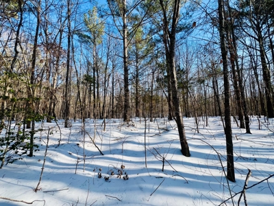 Potential Homesites on Big Acreage in Holladay, Tennessee - image 12
