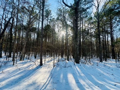 Potential Homesites on Big Acreage in Holladay, Tennessee - image 16