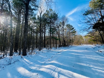 Potential Homesites on Big Acreage in Holladay, Tennessee - image 7