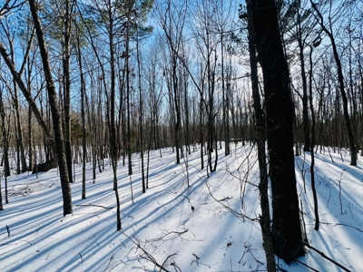 Potential Homesites on Big Acreage in Holladay, Tennessee - image 14