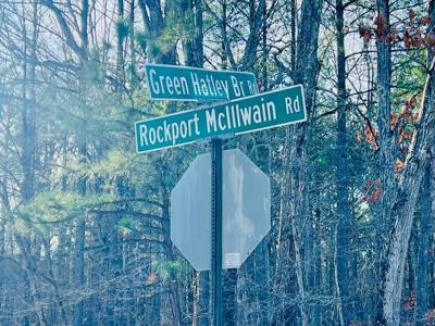 Potential Homesites on Big Acreage in Holladay, Tennessee - image 2
