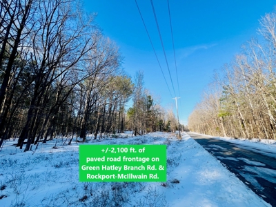Potential Homesites on Big Acreage in Holladay, Tennessee - image 6