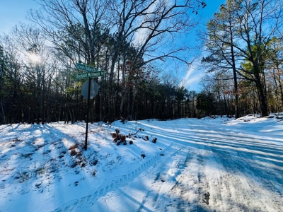 Potential Homesites on Big Acreage in Holladay, Tennessee - image 9