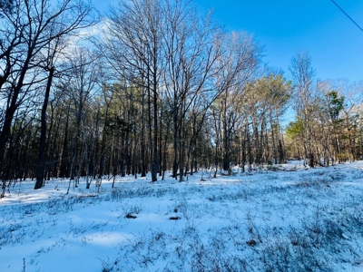 Potential Homesites on Big Acreage in Holladay, Tennessee - image 8