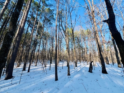 Potential Homesites on Big Acreage in Holladay, Tennessee - image 15