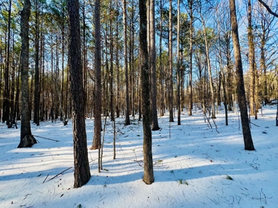 Potential Homesites on Big Acreage in Holladay, Tennessee - image 11