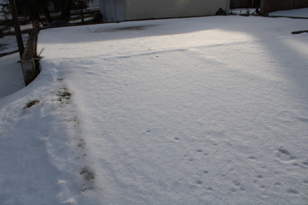Woodsfield OH 3 Story Century Home - image 30