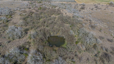 51.6 Acres of Prime Live Oak County Ranch Land - image 23