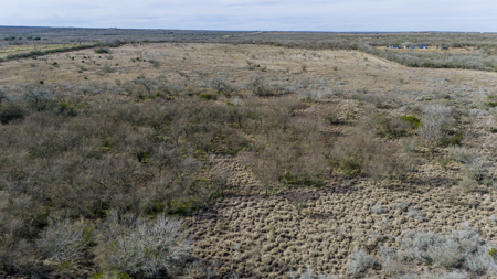 51.6 Acres of Prime Live Oak County Ranch Land - image 20