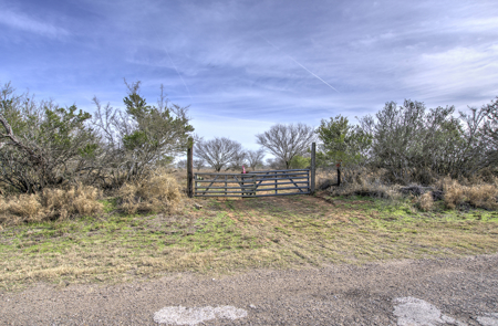 51.6 Acres of Prime Live Oak County Ranch Land - image 4