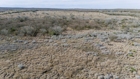 51.6 Acres of Prime Live Oak County Ranch Land - image 19