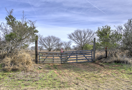 51.6 Acres of Prime Live Oak County Ranch Land - image 17