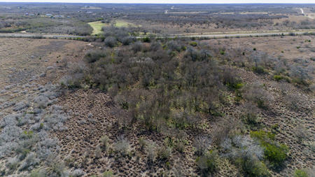 51.6 Acres of Prime Live Oak County Ranch Land - image 21