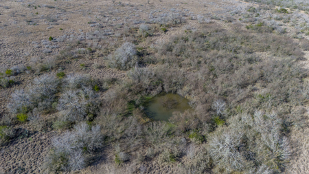 51.6 Acres of Prime Live Oak County Ranch Land - image 24