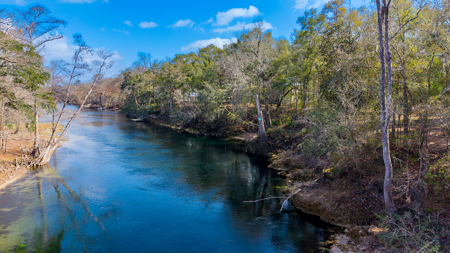 River Front Vacant Land For Sale in Branford, FL - image 9