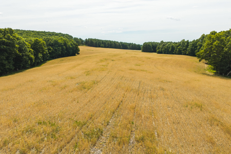Country Home & Acreage for Sale off The Blue Ridge Parkway - image 50