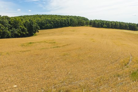 Country Home & Acreage for Sale off The Blue Ridge Parkway - image 1