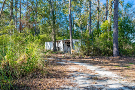 Handyman Special 1.84-Acre Investment Opportunity in Live Oak, FL - image 5