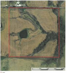40 Acres in Northwest Harrison County, MO - image 1