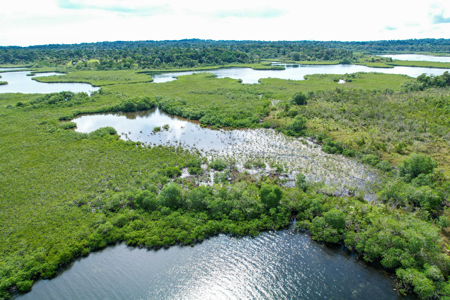 Private Caribbean Island for Sale in Bocas del Toro, Panama - image 7