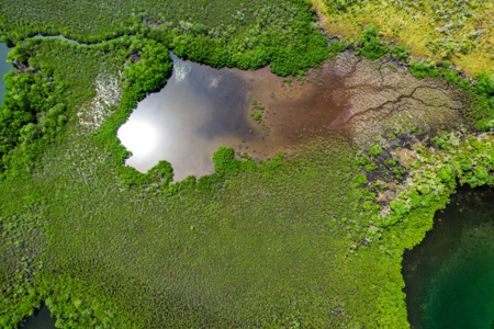 Private Caribbean Island for Sale in Bocas del Toro, Panama - image 12