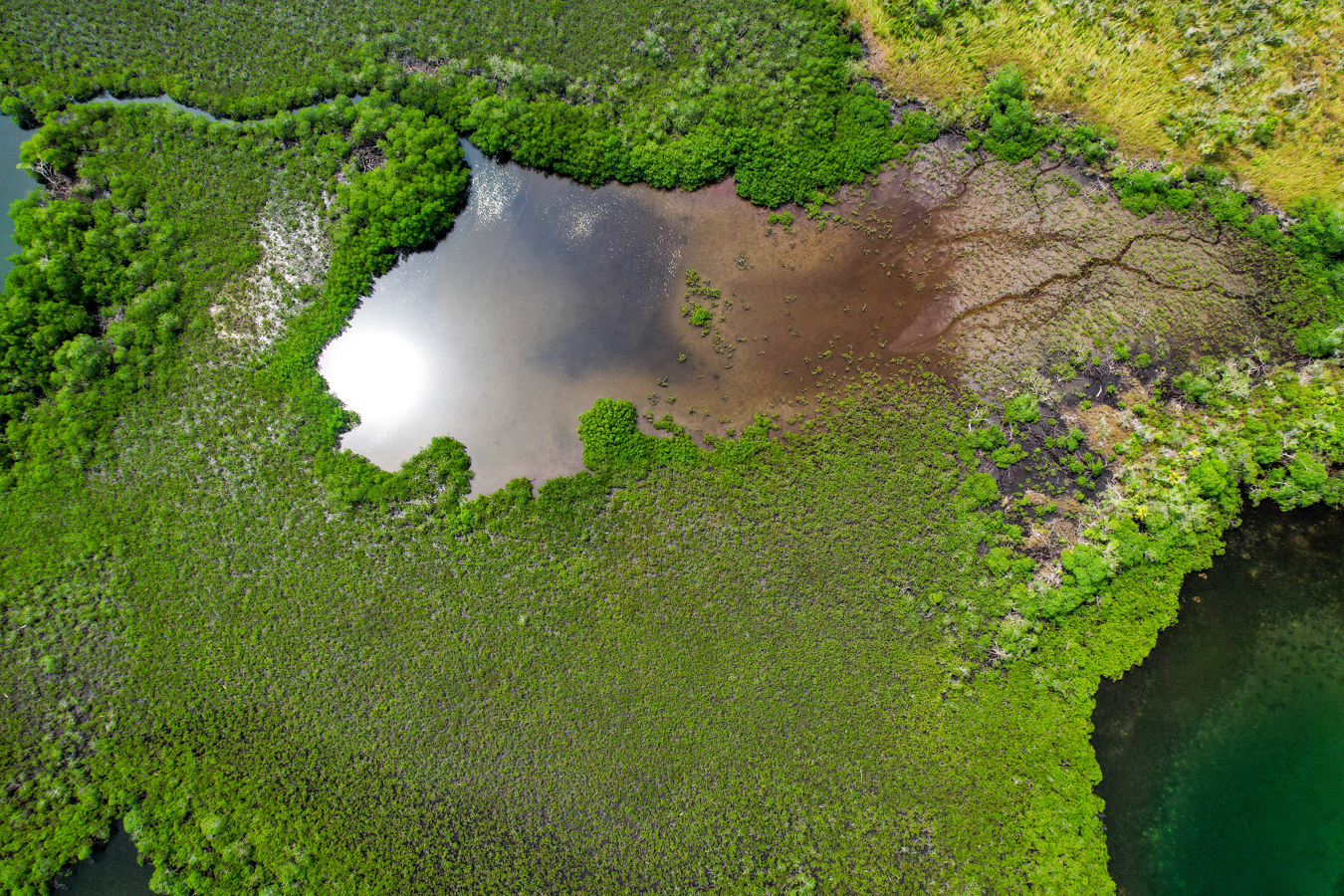 Private Caribbean Island — 42 Acres, Bocas del Toro - 15