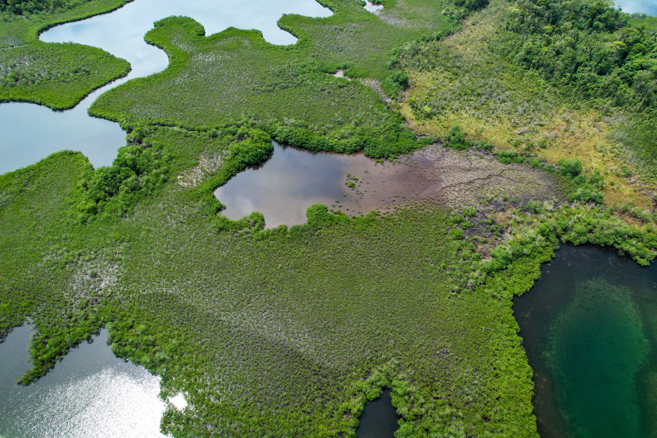 Private Caribbean Island — 42 Acres, Bocas del Toro - 14