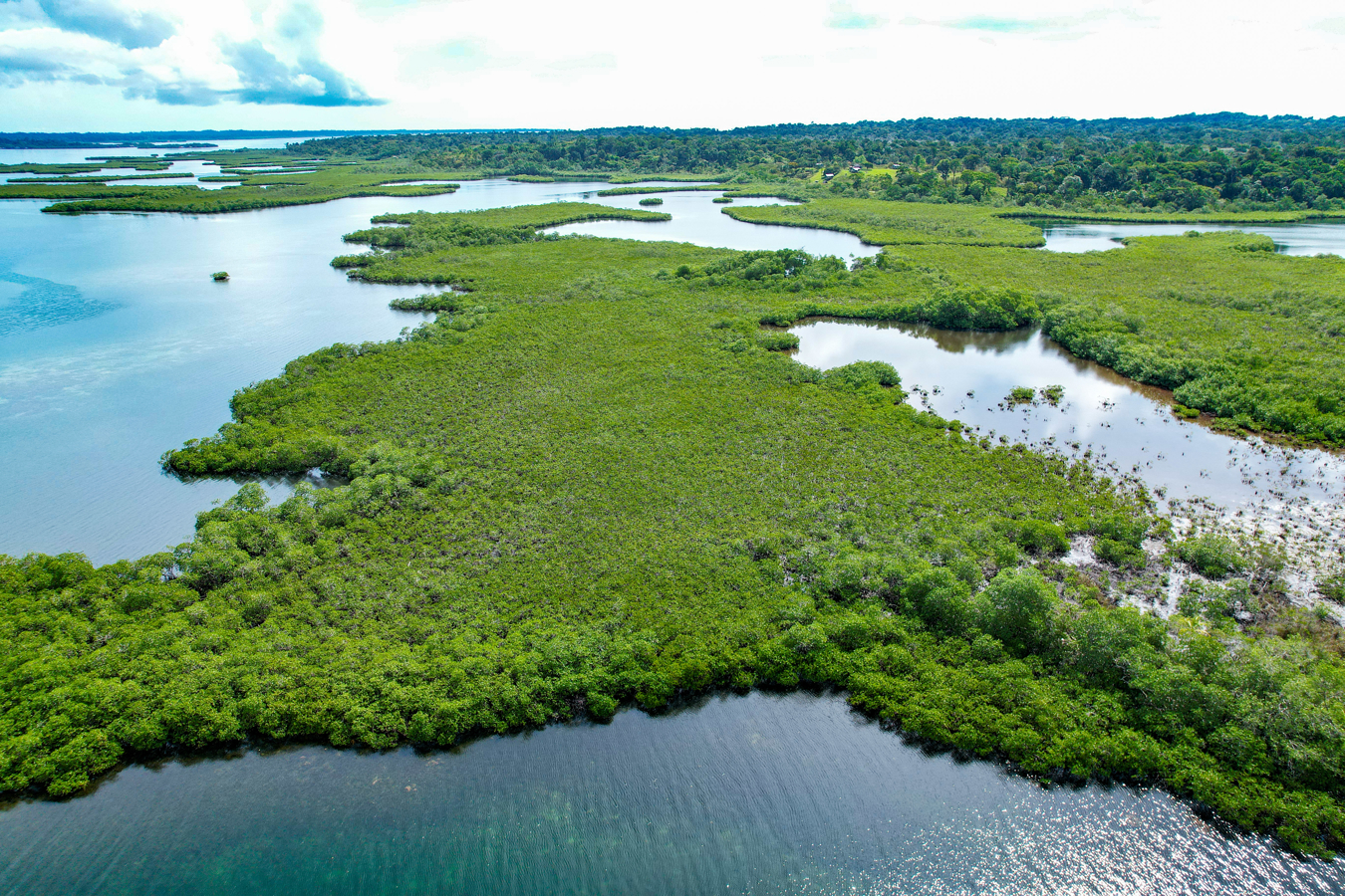 Private Caribbean Island — 42 Acres, Bocas del Toro - 7