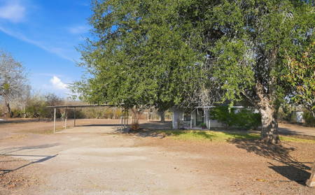 Cozy Country Cottage Between George West & Three Rivers - image 15