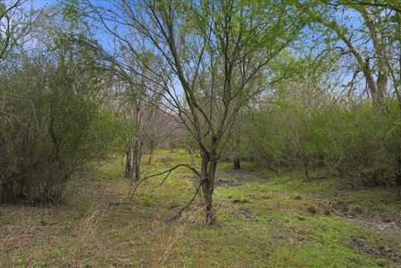 Triple 12 Ranch | Turnkey High-Fenced Retreat - image 21