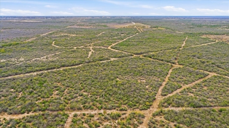 Triple 12 Ranch | Turnkey High-Fenced Retreat - image 9