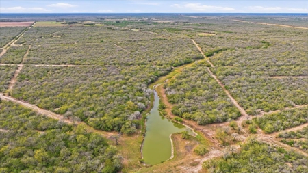 Triple 12 Ranch | Turnkey High-Fenced Retreat - image 10