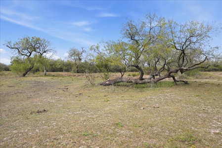 Triple 12 Ranch | Turnkey High-Fenced Retreat - image 31