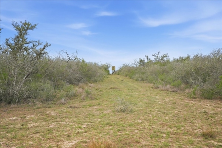 Triple 12 Ranch | Turnkey High-Fenced Retreat - image 13