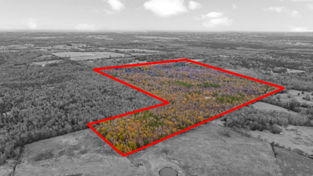 Texas Hunting Ranch with Barndominium Shop for Sale - image 30