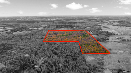 Texas Hunting Ranch with Barndominium Shop for Sale - image 31