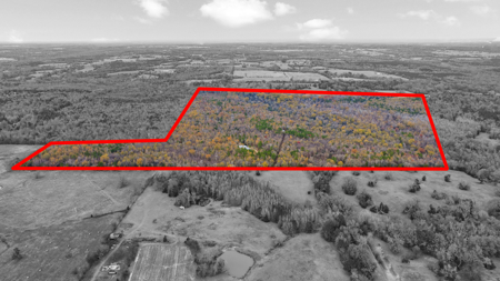 Texas Hunting Ranch with Barndominium Shop for Sale - image 29