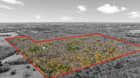 Texas Hunting Ranch with Barndominium Shop for Sale - image 28