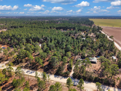 1.25 Acre Lot In Williston Highlands Near Ocala - image 4