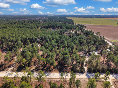 1.25 Acre Lot In Williston Highlands Near Ocala - image 3