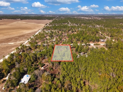 1.25 Acre Lot In Williston Highlands Near Ocala - image 1