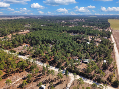 1.25 Acre Lot In Williston Highlands Near Ocala - image 7