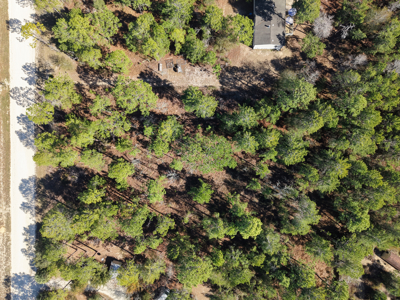 1.25 Acre Lot In Williston Highlands Near Ocala - image 8