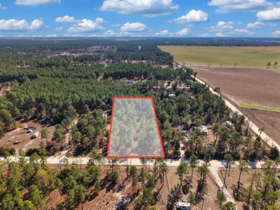 1.25 Acre Lot In Williston Highlands Near Ocala - image 14
