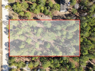 1.25 Acre Lot In Williston Highlands Near Ocala - image 13