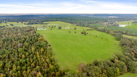 Premier Ranch For Sale New Boston Texas - image 11
