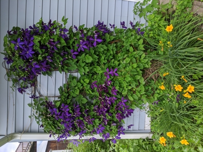 Open-Concept Home For Sale in Madison County New York - image 46