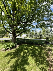 Open-Concept Home For Sale in Madison County New York - image 35